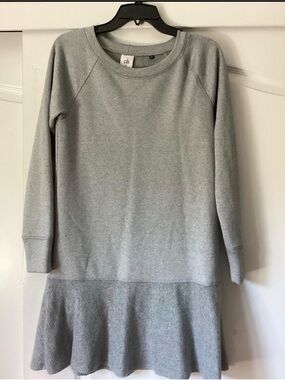 Cabi Casual Light Gray Sweatshirt Dress Xs